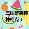 三國群英傳3兵種最佳配置（三國群英傳3兵種相克）