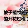 被子植物的開花和結果的形成過程（被子植物的開花過程）