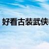 好看古裝武俠電視劇（好看古裝武俠電視劇）