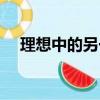 理想中的另一半作文（理想中的另一半）