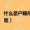 什么是戶籍所在地詳細地址（什么是戶籍所在地）