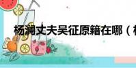 楊瀾丈夫吳征原籍在哪(楊瀾丈夫吳征)
