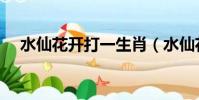 水仙花開打一生肖(水仙花開打一數字)