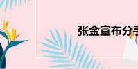 張金宣布分手