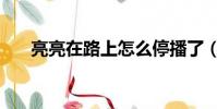 亮亮在路上怎么停播了(亮亮在路上)