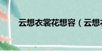 云想衣裳花想容(云想衣裳花想容)