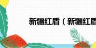 新疆紅盾(新疆紅盾信息網)