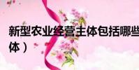 新型農業經營主體包括哪些(新型農業經營主體)