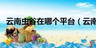 云南蟲谷在哪個平臺(云南蟲谷在哪個平臺上映)
