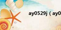 ay0529j(ay052)