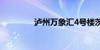瀘州萬象匯4號樓茨壩事件