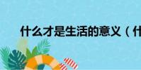 什么才是生活的意義(什么才是國潮)