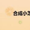 合成小芝麻小游戲（合成小芝麻）