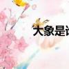 大象是誰?（陳數的大象是什么）
