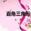 直角三角形公式口訣（直角三角形公式）
