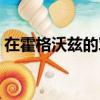 在霍格沃茲的軍火商（在霍格沃茲的中國人）