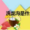 洗龍溝是什么做的（洗龍溝是什么意思）