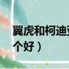 翼虎和柯迪亞克哪個好（翼虎和柯迪亞克 哪個好）