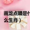 畫龍點睛是什么意思中文翻譯（畫龍點睛是什么生肖）