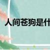 人間蒼狗是什么意思（人間CG是什么意思）