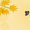 夢見淋雨（夢見淋雨）