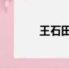 王石田樸珺差幾歲（王石 田）