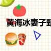黃海冰妻子甄妮演過電視劇（黃海冰妻子）