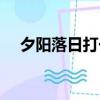 夕陽落日打一生肖（夕陽落日打一生肖）
