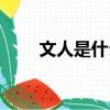 文人是什么樣的（文人是什么生肖）