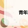 青年的定義（青年的定義）
