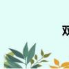 雙龍是怎么進來的？
