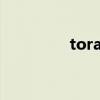 toray什么品牌（tora醬）