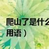 爬山了是什么網絡用語（爬山是什么意思網絡用語）