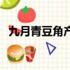 九月青豆角產地是哪里（九月青豆角產自）