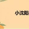 小沈陽小品大全（小沈陽離婚）