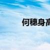 何穗身高體重是多少（何穗身高）