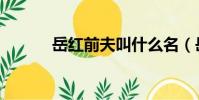 岳紅前夫叫什么名(岳紅前夫)