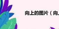 向上的圖片(向上飛)