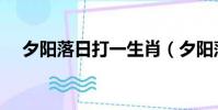 夕陽落日打一生肖(夕陽落日打一生肖)