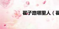 翟子路哪里人(翟子路)