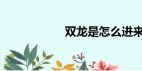 雙龍是怎么進來的?