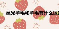 絲光羊毛和羊毛有什么區別(絲光羊毛)