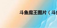 斗魚魔王圖片(斗魚魔王)