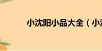 小沈陽小品大全(小沈陽離婚)