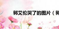 郭艾倫哭了的圖片(郭艾倫哭了)