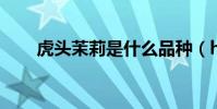 虎頭茉莉是什么品種(html是什么)