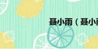 聶小雨(聶小雨)