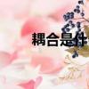 耦合是什么意義（耦合是什么意思）