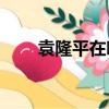 袁隆平在哪一年開始研究雜交水稻？