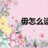 毋怎么讀拼音是什么（毋怎么讀）